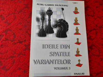 SAH IDEILE DIN SPATELE VARIANTELOR FINALURI VOL 3 PETRU GABRIEL SALAGEANU foto
