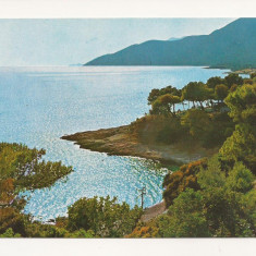FA54-Carte Postala- GRECIA - Tipical Sea-side, necirculata