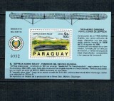 Paraguay 1989 - Trenuri, cai ferate, colita neuzata
