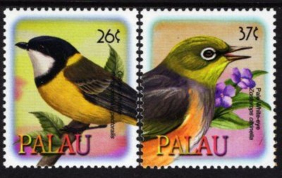 PALAU 2003 FAUNA PASARI foto