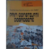 PRIN CONSTELATII DOBROGENE-HORTENSIA TEODORESCU, ION FAITER-232623