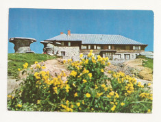 CA11 -Carte Postala- Muntii Bucegi , cabana Babele, necirculata foto