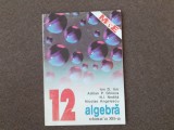 Algebra clasa a XII-a- Ion D. Ion, Adrian P. Ghioca