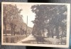 Carte pstala, Ocna Mures Uioara, o partedin parc, perioada interbelica