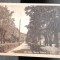 Carte pstala, Ocna Mures Uioara, o partedin parc, perioada interbelica