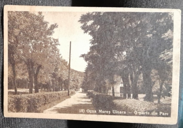 Carte pstala, Ocna Mures Uioara, o partedin parc, perioada interbelica