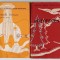 INTERFERENTE , STUDII LITERARE , POEZIE , PROZA , VOLUMELE I - II , 1972 - 1979