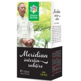 Tinctura meridian intestin subtire 100ml santo raphael