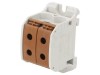 Conector Șine 50mm2 1P 4B Maro TS35