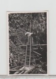 bnk foto Canionul 7 Scari - 1962