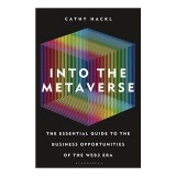Into the Metaverse