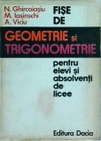 N. Ghircoiasiu, M. Iasinschi, A. Viciu - Fise de geometrie si trigonometrie
