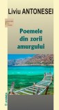 Poemele din zorii amurgului | Liviu Antonesei