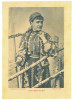 4799 - BRAN, Ethnic woman, Brasov, Panorama - old card 19/13.5 cm - unused, Necirculata, Printata