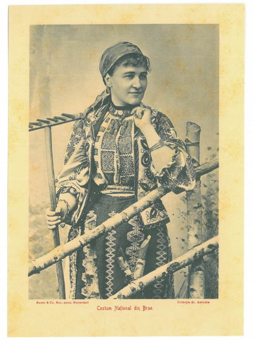 4799 - BRAN, Ethnic woman, Brasov, Panorama - old card 19/13.5 cm - unused