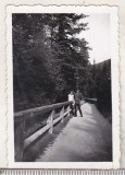 bnk foto Sinaia - 1937