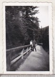 Bnk foto Sinaia - 1937, Alb-Negru, Romania 1900 - 1950, Natura