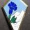 Insigna Militara Regimentala Brigada 27 Infanterie Montana Franța