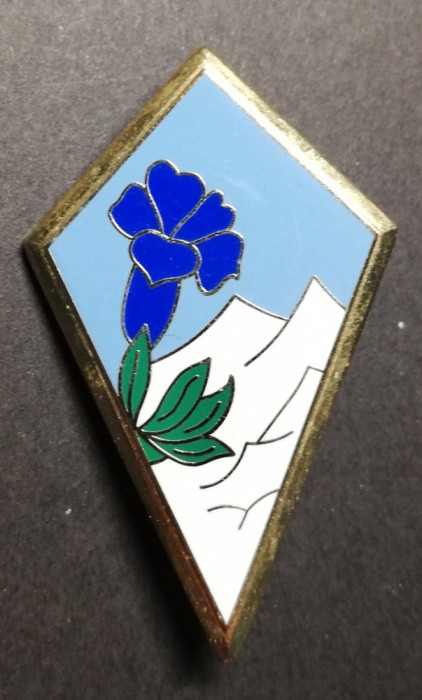 Insigna Militara Regimentala Brigada 27 Infanterie Montana Franța