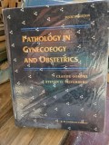 Pathology in Gynecology and Obstetrics - Claude Gompel, Stephen G. Silverberg