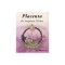 Placenta - The Forgotten Chakra