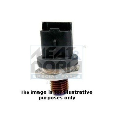 Meat &amp;amp;amp; Doria Senzor, presiune combustibil foto