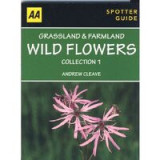 Grassland &amp; Farmland Wild Flowers Collection 1