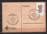 GERMANIA (DDR) 1981 - FLORA. FLORI DE CAMP. CARTE POSTALA MAXIMA, Y10