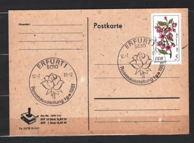 GERMANIA (DDR) 1981 - FLORA. FLORI DE CAMP. CARTE POSTALA MAXIMA, Y10 foto