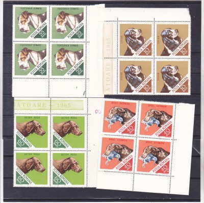 1965 Romania - Caini de vanatoare, blocuri de 4 timbre LP 620 MNH foto