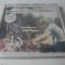 The Cardigans, cd