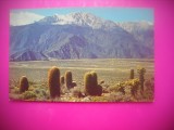 HOPCT 8452 DIN GRADINA DIAVOLULUI-SAN JACINTO CALIFORNIA -SUA -AMERICA DE NORD -NECIRCULATA -