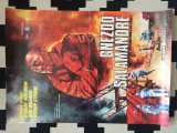 cuibul salamandrelor 1978 regia mircea dragan billion dollar fire film romanesc afis cinema din iugoslavia