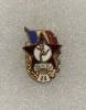 Insigna GMA II