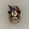 Insigna GMA II