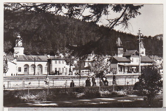 bnk cp Vatra Dornei - Vedere - necirculata