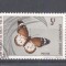 Haute Volta 1971 Butterflies, used AE.276