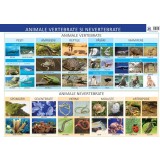 Animale vertebrate si nevertebrate
