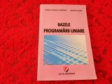 BAZELE PROGRAMARII LINIARE JANINA MIHAELA MIHAILA RF14/4