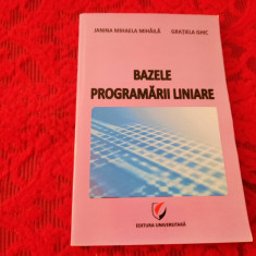 BAZELE PROGRAMARII LINIARE JANINA MIHAELA MIHAILA RF14/4