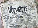 ZRE Ziarul Interbelic - Voluntarul Bucovinean - Vorwarts - bucovina Cernauti 1933