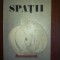 Spatii- Virgil Cutitaru