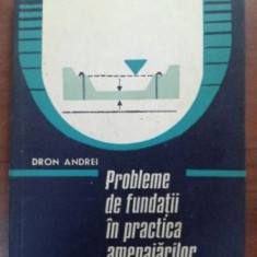 Probleme de fundatii in practica amenajarilor hidroameliorative- Dron Andrei
