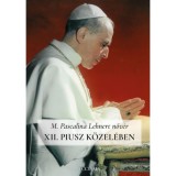 XII. Piusz k&ouml;zel&eacute;ben - Pascalina nőv&eacute;r visszaeml&eacute;kez&eacute;sei