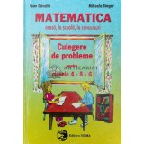 Matematica: acasa, la scoala, la concursuri. Culegere de probleme pentru clasele 4-5-6 - 2001 - Mihaela Singer ($P5)