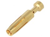 Pin Mamă Aurit 0,5mm2 EPIC H-BE 2.5