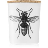 Vila Hermanos Insect Calabrone lum&acirc;nare parfumată 75 g