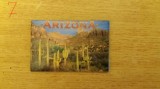 D3 - Magnet frigider - Tematica turism - America 10