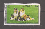 Monaco 1981 - Expozitie internationala canina, Monte Carlo, MNH, Nestampilat