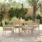 vidaXL Set de masă pentru grădină 5 pcs Bej Rattan poli 3334918